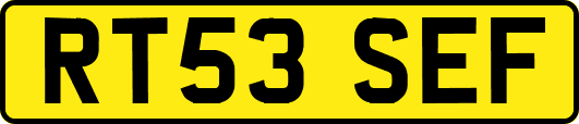 RT53SEF
