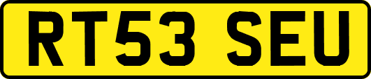 RT53SEU