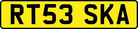 RT53SKA