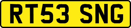 RT53SNG