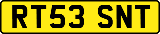 RT53SNT