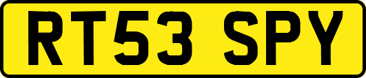 RT53SPY