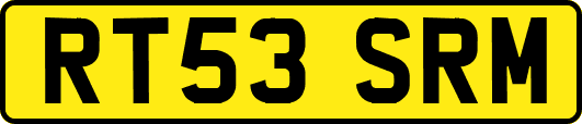 RT53SRM