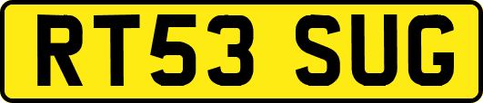 RT53SUG