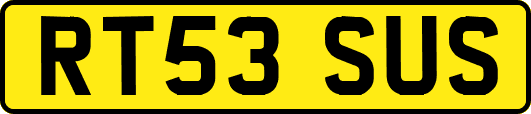 RT53SUS