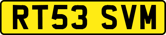 RT53SVM
