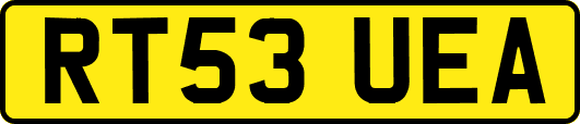 RT53UEA