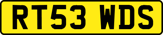 RT53WDS