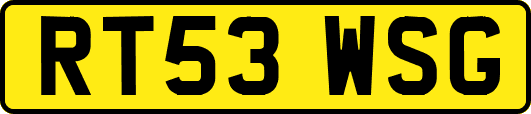RT53WSG