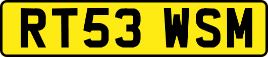 RT53WSM