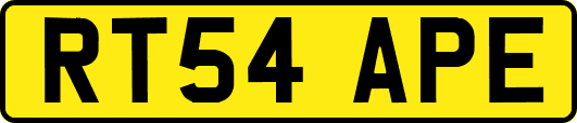 RT54APE