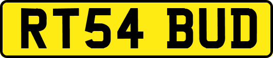 RT54BUD