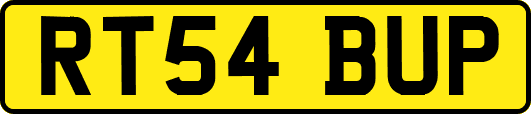 RT54BUP