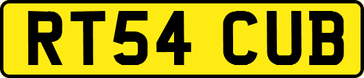 RT54CUB