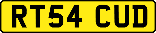 RT54CUD