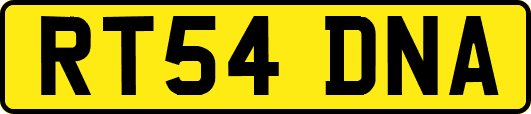 RT54DNA