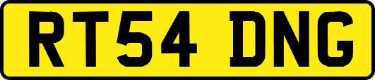 RT54DNG