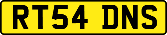 RT54DNS