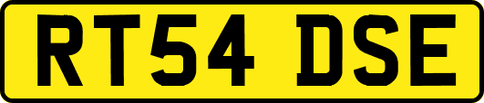 RT54DSE