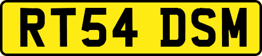 RT54DSM