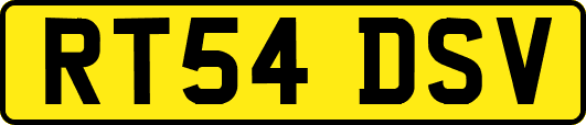 RT54DSV