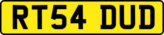 RT54DUD