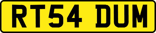 RT54DUM