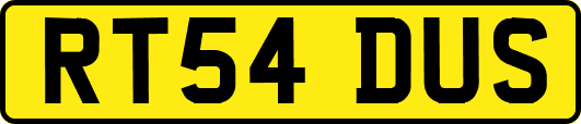 RT54DUS