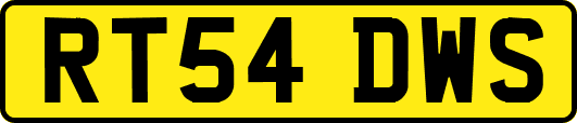 RT54DWS