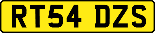 RT54DZS