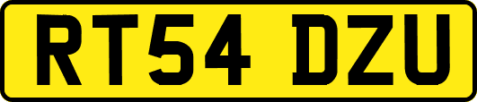 RT54DZU