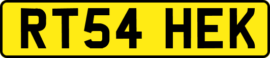 RT54HEK