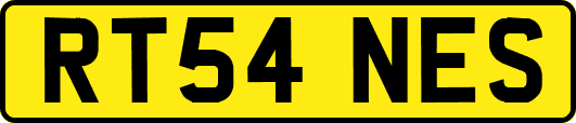 RT54NES