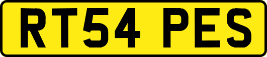 RT54PES