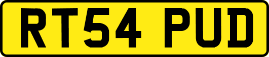 RT54PUD