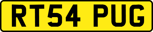 RT54PUG