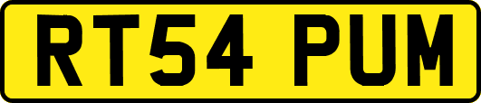 RT54PUM