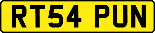 RT54PUN