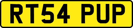 RT54PUP