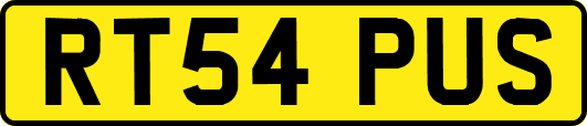 RT54PUS
