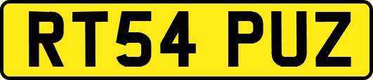 RT54PUZ