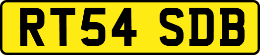 RT54SDB