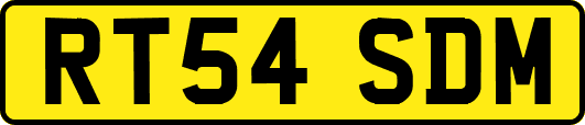 RT54SDM