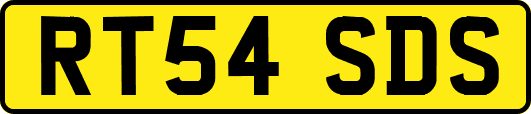RT54SDS