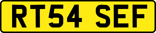 RT54SEF