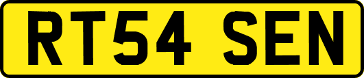 RT54SEN