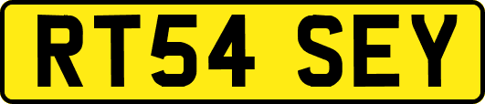 RT54SEY