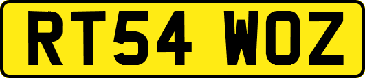 RT54WOZ