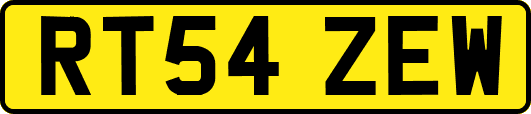 RT54ZEW