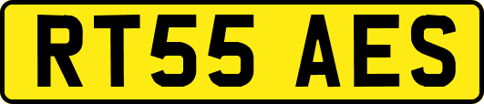RT55AES